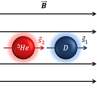 Black arrows pointing from left to right to indicate the magnetic field, with a red circle and a blue circle indicating atoms with nuclear spin aligned with the field