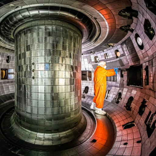 A person stands inside the DIII-D vessel between the central column and vessel wall