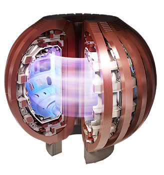 Drawing of the DIII-D tokamak showing the coils, with a cutaway showing the interior cross-section of the wall with diagnostic ports and plasma